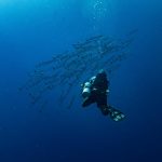 Adventure Tours in Tamarindo