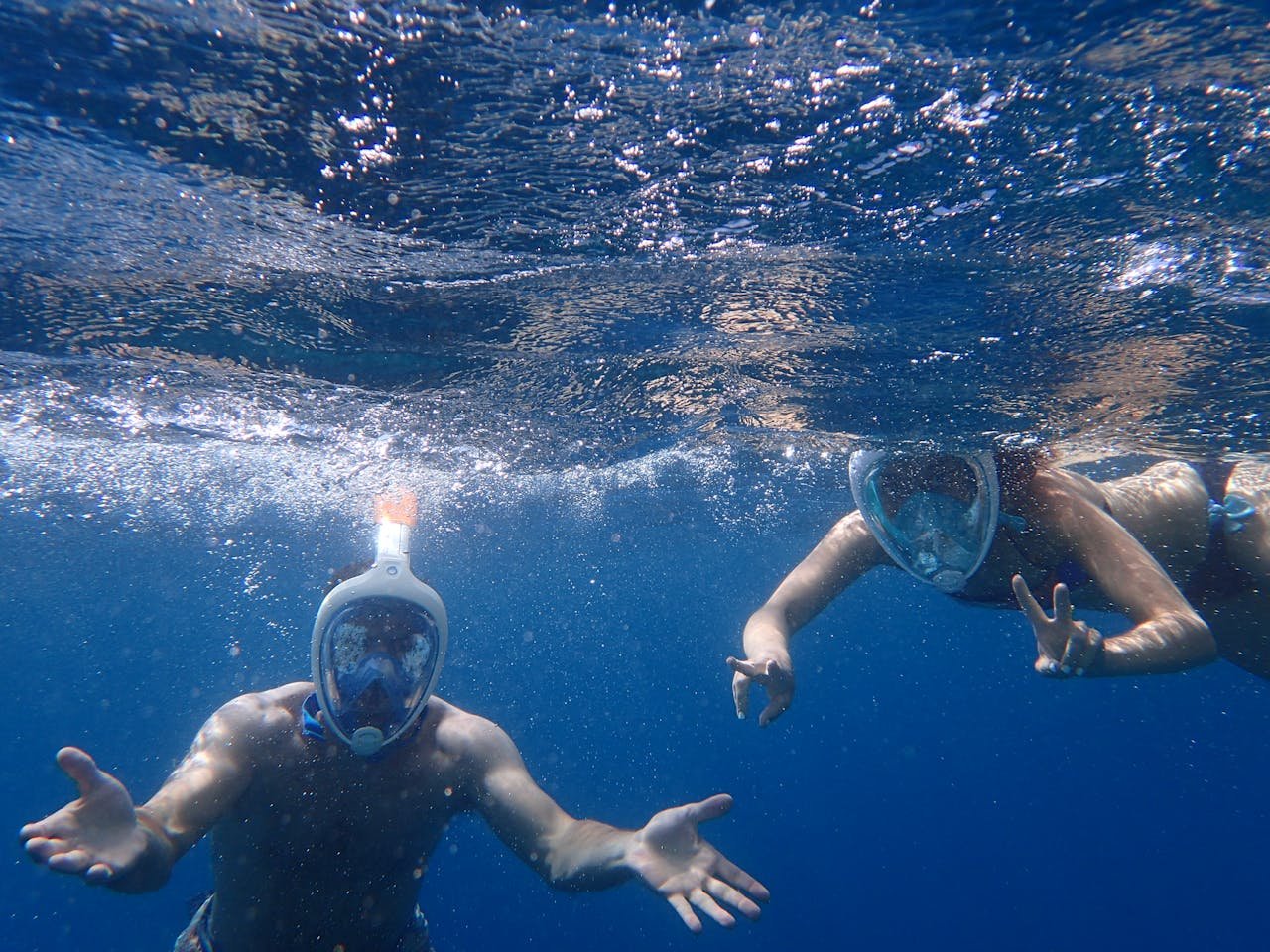 Snorkeling at Catalina Islands