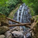 National Park Tours