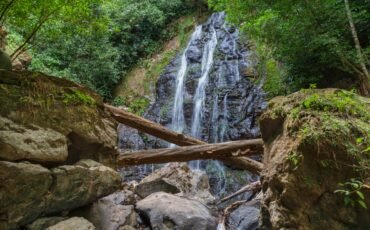 National Park Tours