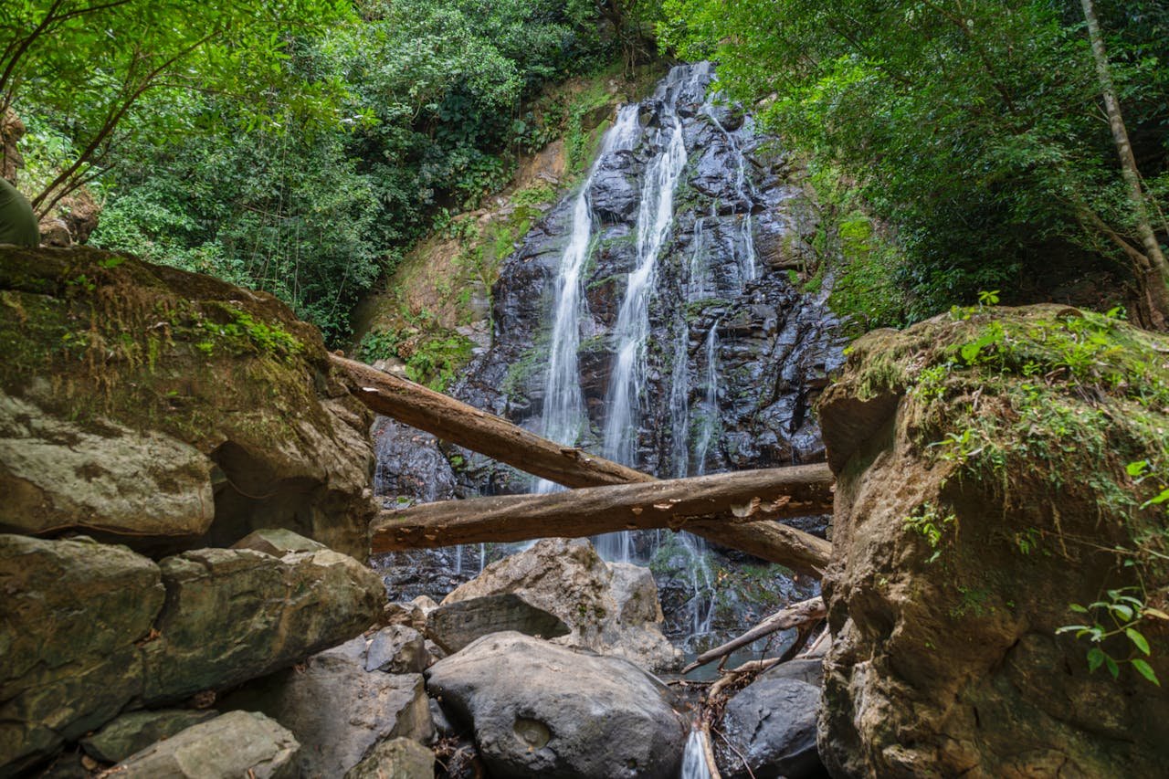National Park Tours