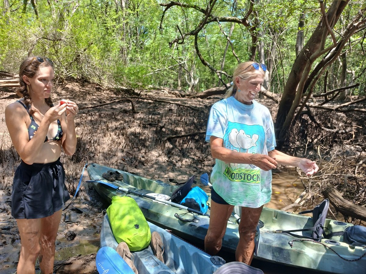 Estuary tour Tamarindo
