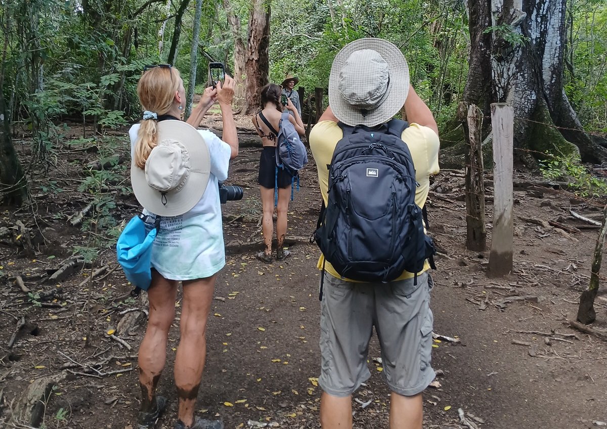 Estuary tour Tamarindo costa rica