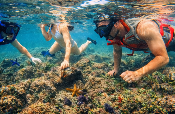 Capitan Island snorkel